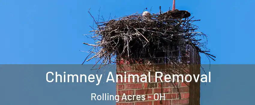 Chimney Animal Removal Rolling Acres - OH