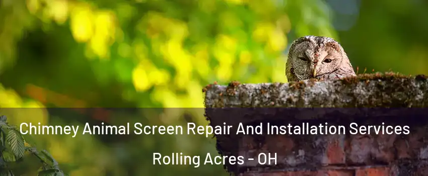 Chimney Animal Screen Repair And Installation Services Rolling Acres - OH