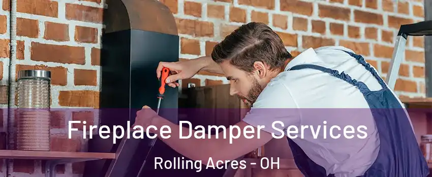 Fireplace Damper Services Rolling Acres - OH