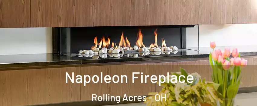 Napoleon Fireplace Rolling Acres - OH