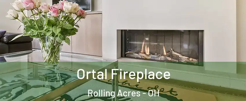 Ortal Fireplace Rolling Acres - OH